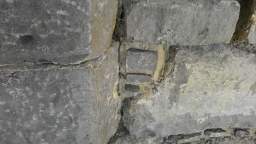 acastle
                          110690.jpg